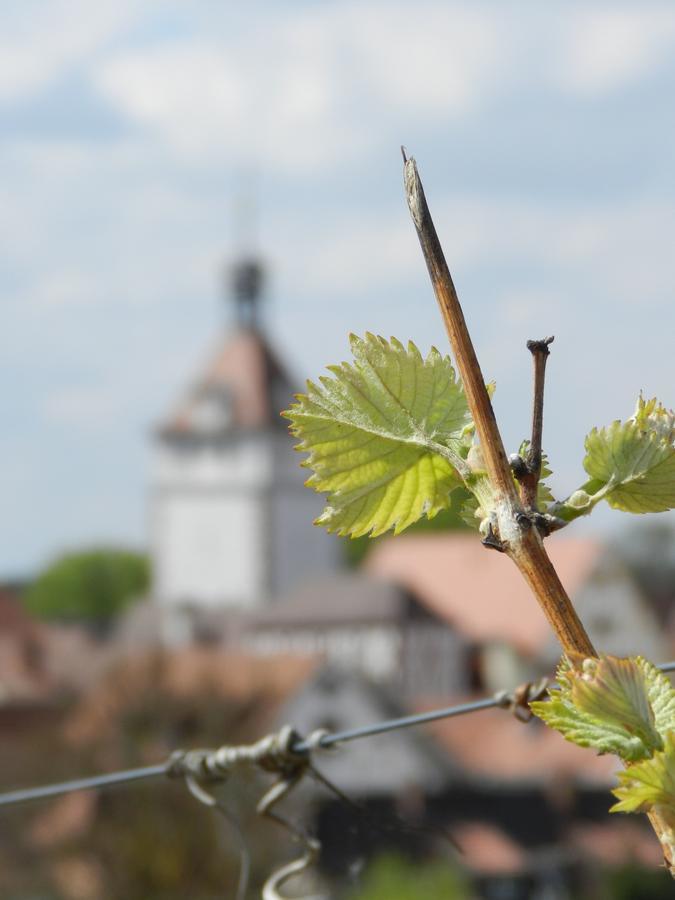 Gaestehaus Am Westtor Prichsenstadt Kültér fotó